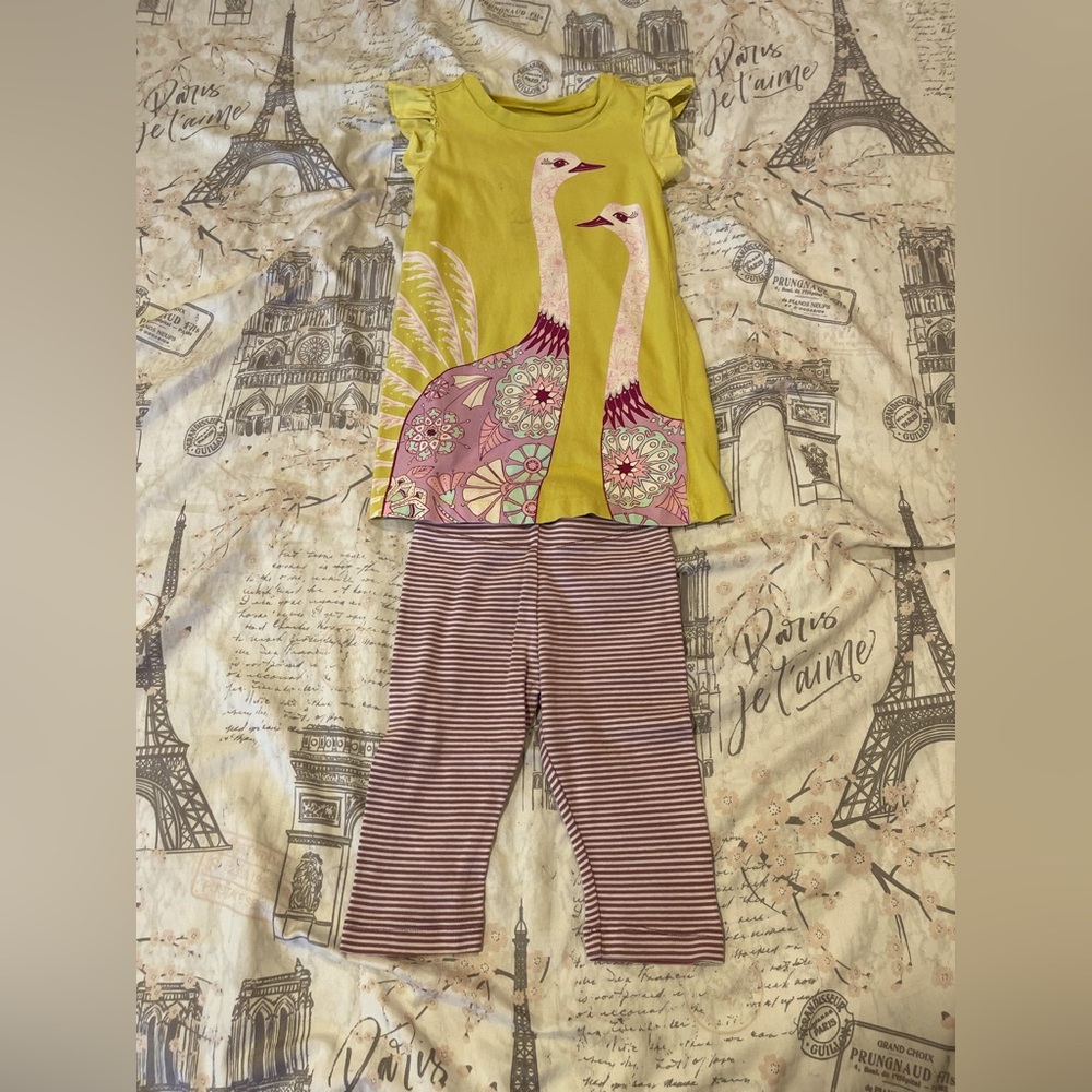 Tea Collection size 2 Ostritch top and leggings